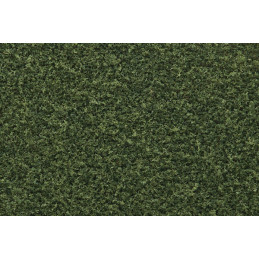 Woodland WT45  DARŃ - GREEN...