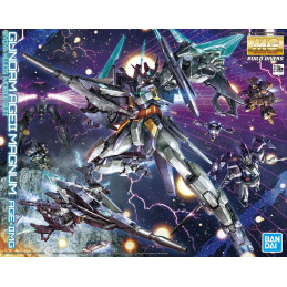 Bandai 57065 MG 1/100...